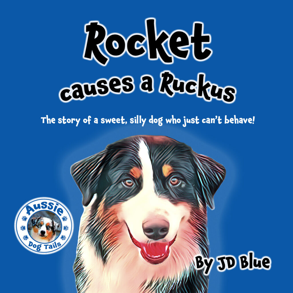 Rocket Causes A Ruckus Book Cover